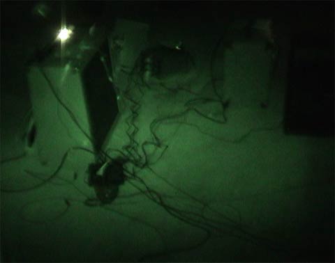 serenade image